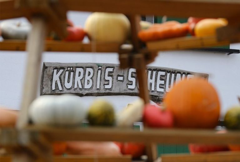 Riesen Kürbis Fest beim Eldagser Hoflieferanten Stadt Eldagsen