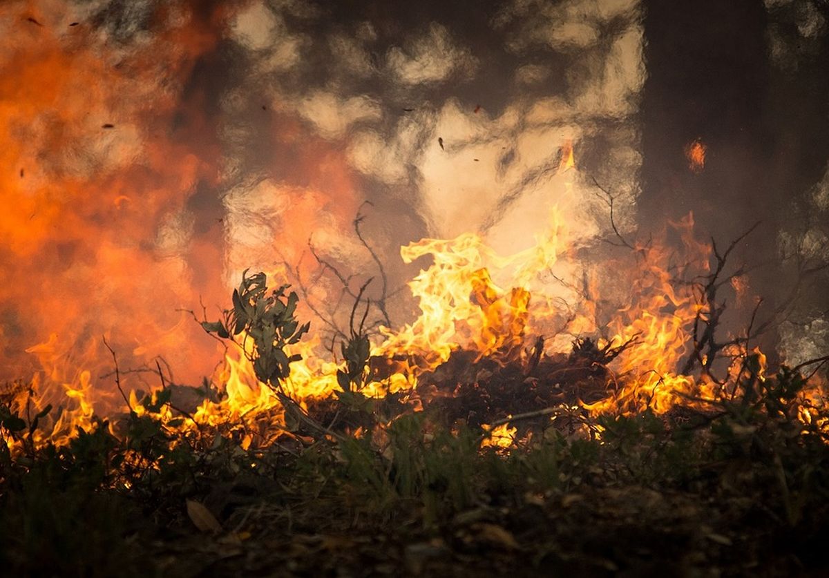 Waldbrandgefahr in Niedersachsen ist sehr hoch