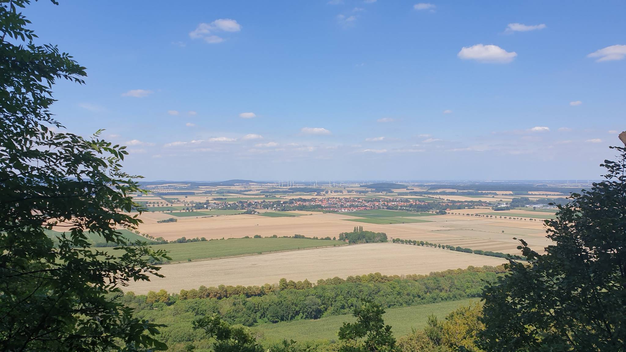 Wanderung des Bürgervereins Stadt Eldagsen und Umgebung e.V.