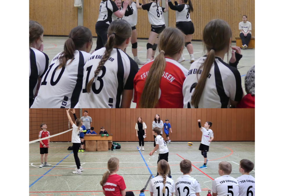 Heimspielwochenende bei unseren VolleyballerInnen in Eldagsen