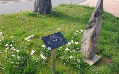 QR-Code an der Senfmühle