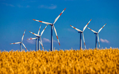 Neuplanung Windenergie: Beteiligungsverfahren vorerst ausgesetzt