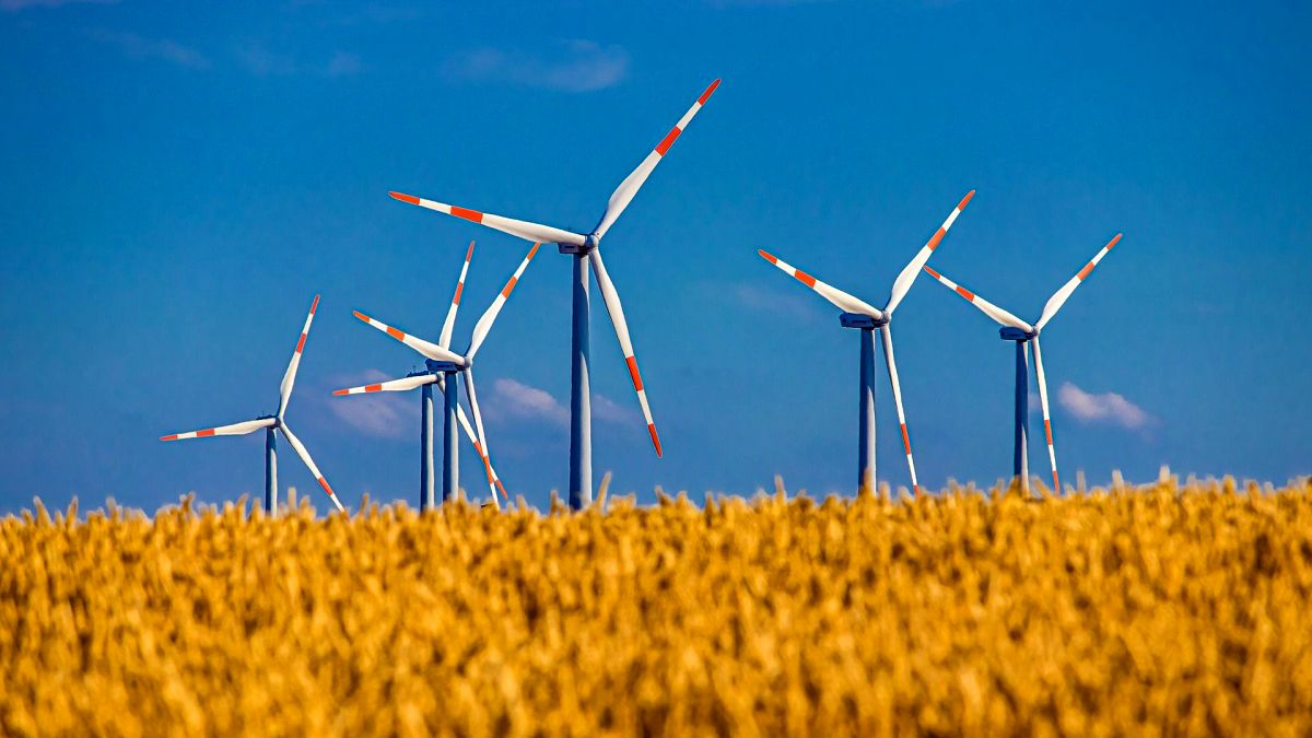 Neuplanung Windenergie: Beteiligungsverfahren vorerst ausgesetzt