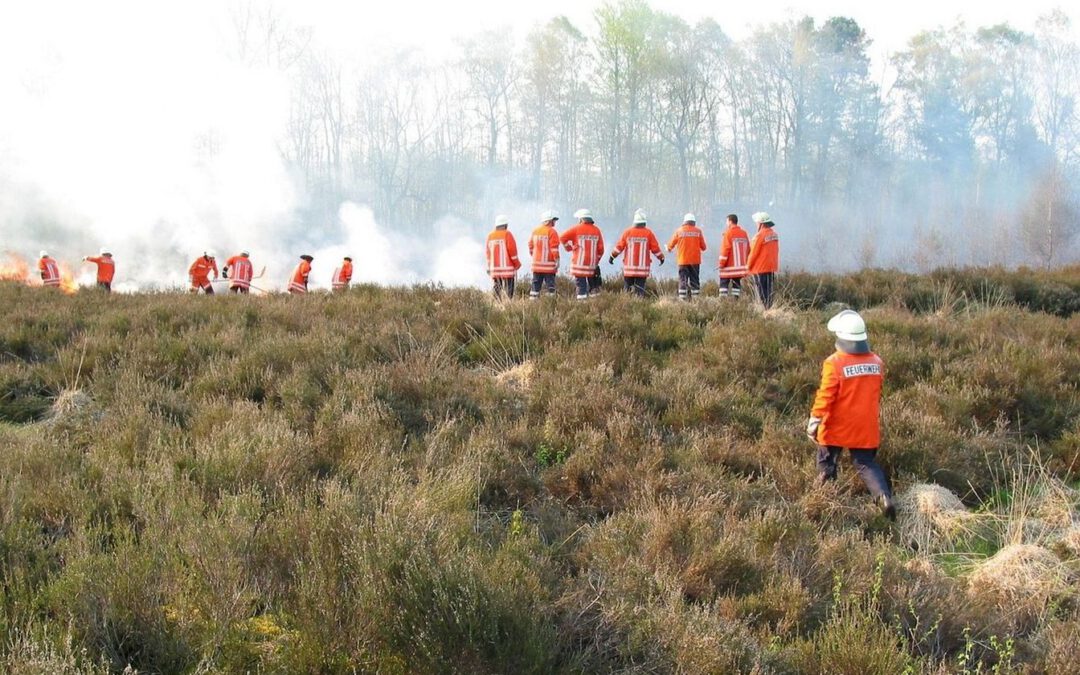 Feuerwehrverbände warnen vor dramatischer Zunahme der Waldbrand