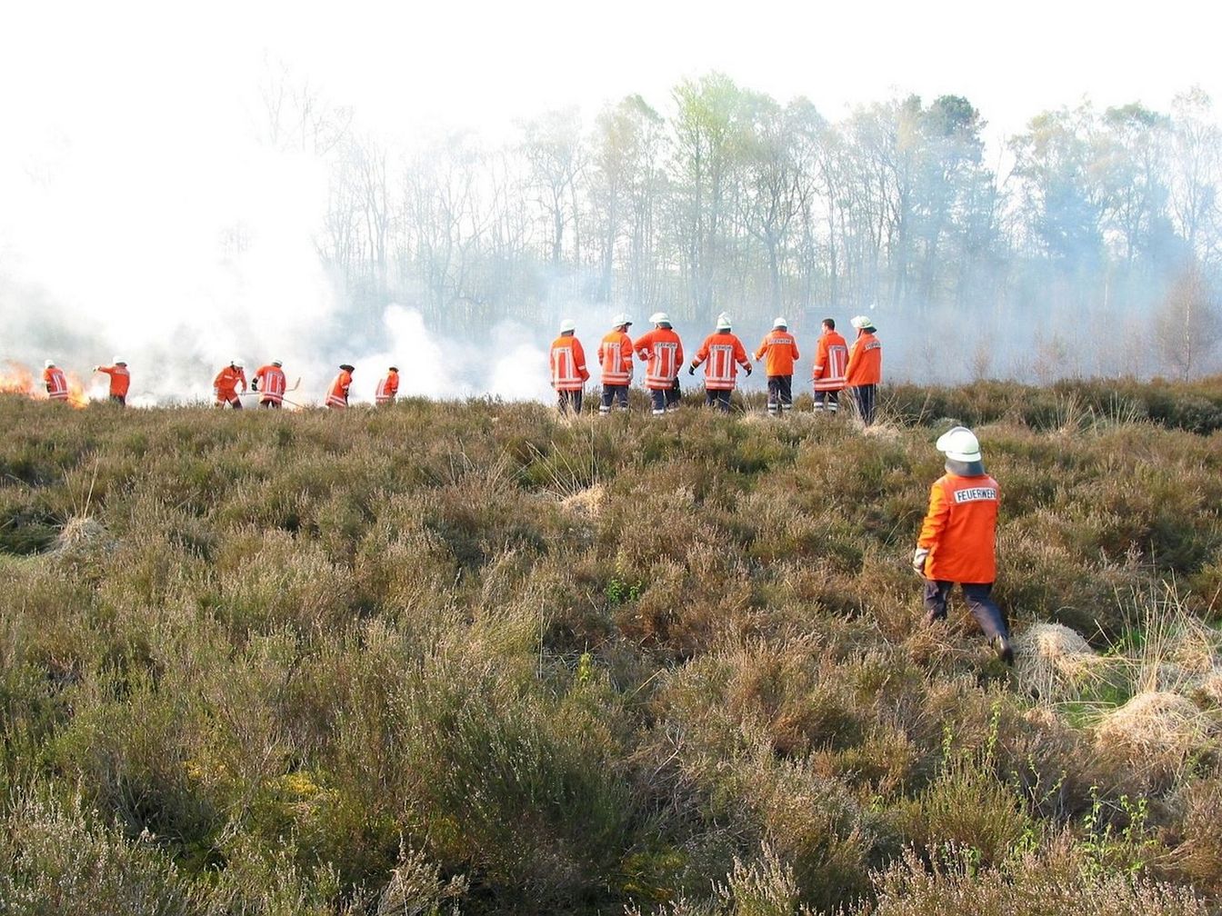 Feuerwehrverbände warnen vor dramatischer Zunahme der Waldbrandgefahr