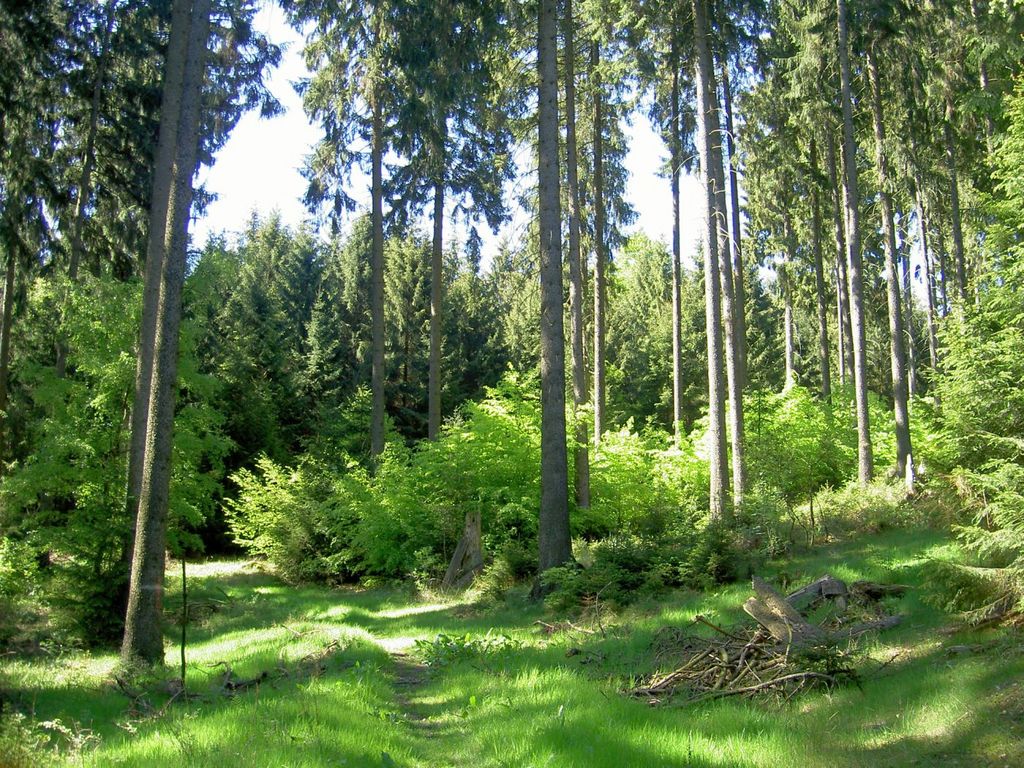 Waldinfotag Deister zum Ferienauftakt – Natur.Erleben.Bewirtschaften