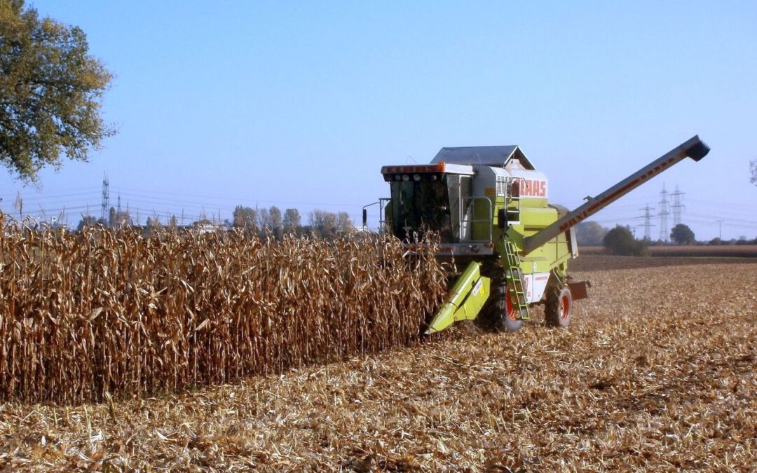 Niedersachsens Landwirte verzeichnen Ernteverluste