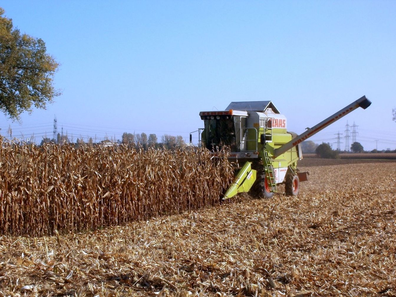 Niedersachsens Landwirte verzeichnen Ernteverluste