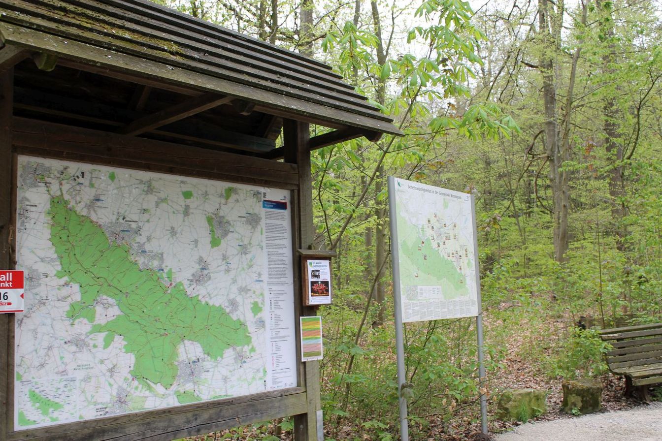 Krise in den niedersächsischen Wäldern noch sichtbar