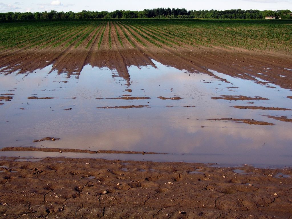 Hochwasser hat erhebliche Auswirkungen auf Landwirtschaft