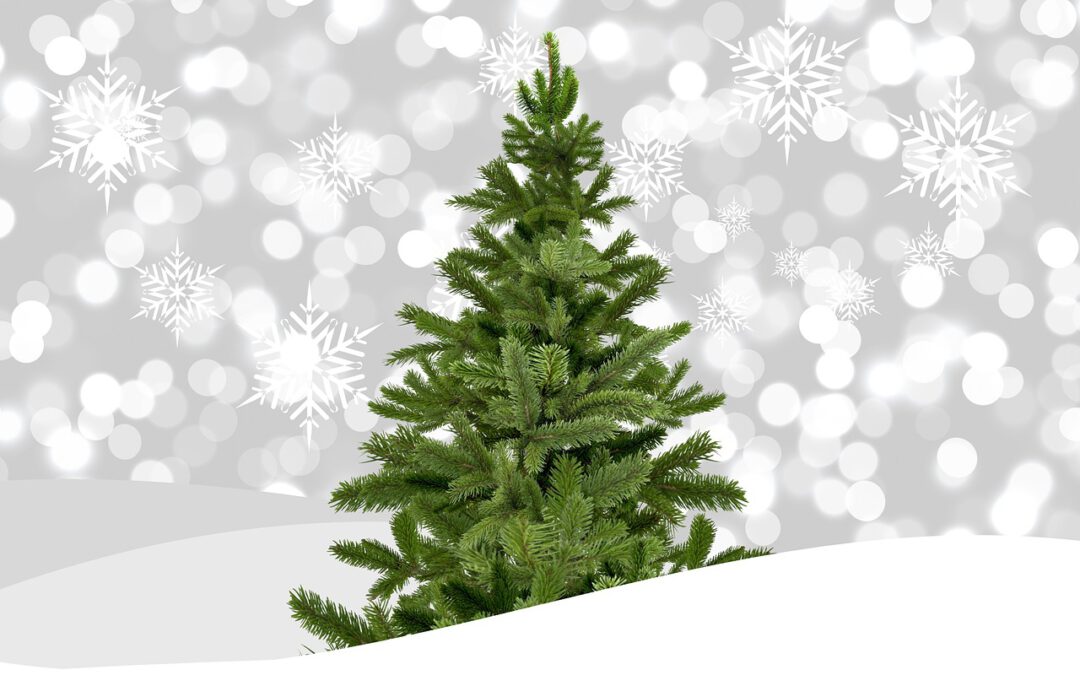 Tannenbaum