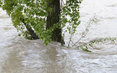 Hochwasserhilfe für die Landwirtschaft