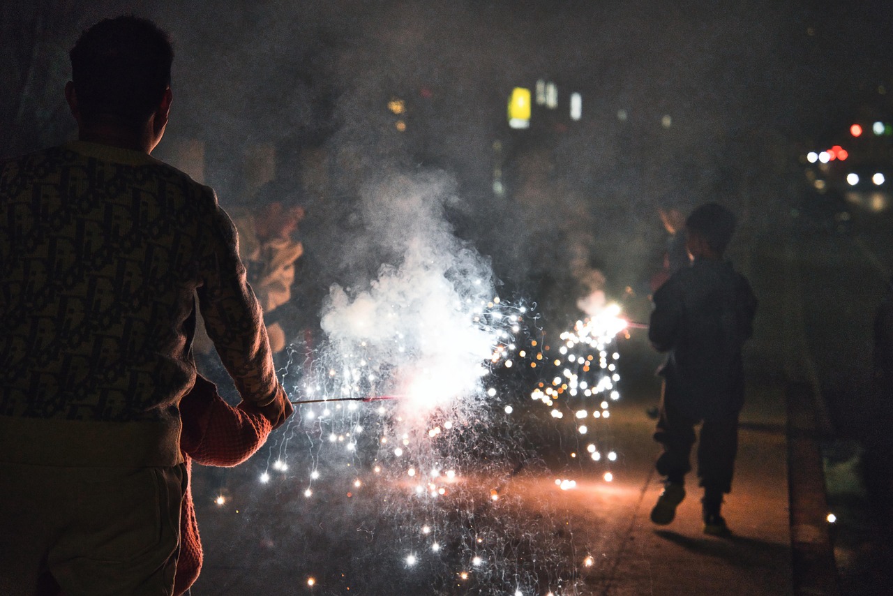 Silvesterstress für die Tierwelt: Warum das neue Jahr für Igel, Reh und Co. oft tödlich beginnt